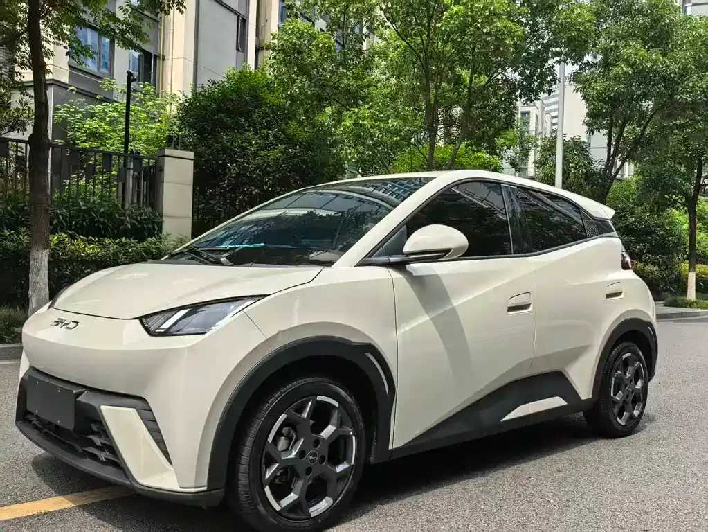 BYD Seagull
