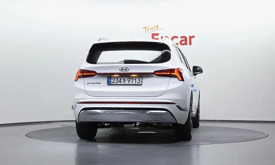 Hyundai Santafe 2021 из KR, фото 4