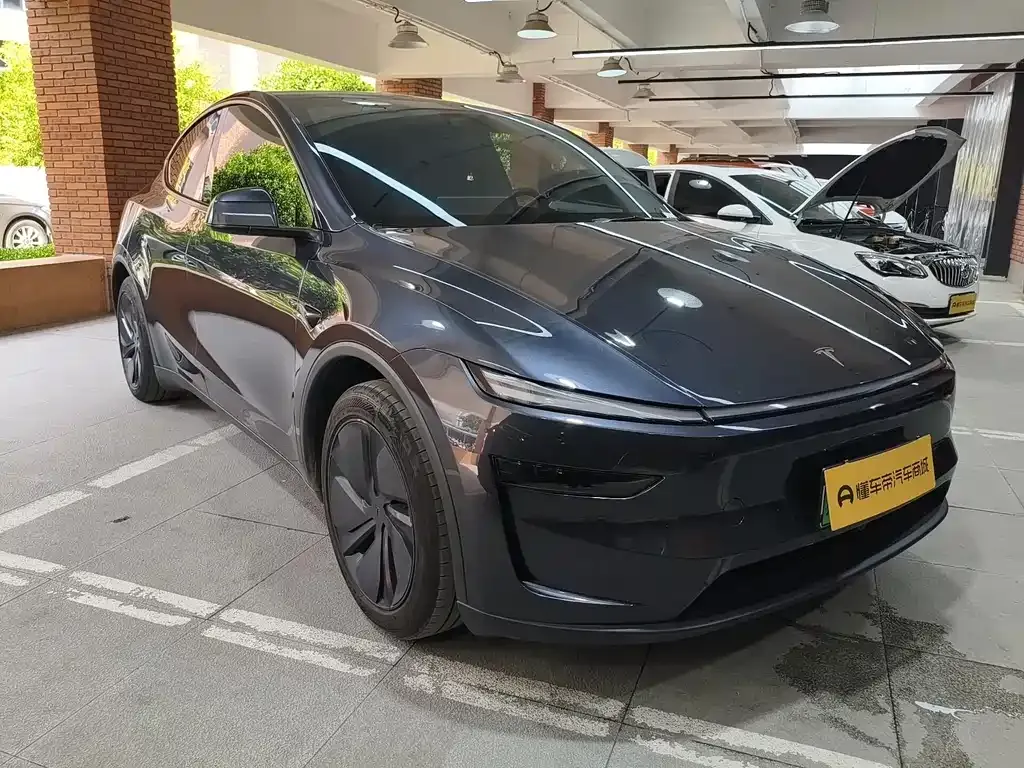 Tesla Model Y — фото 6