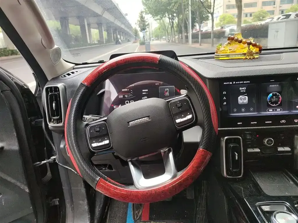 Haval Big Dog 2023 из CN, фото 5