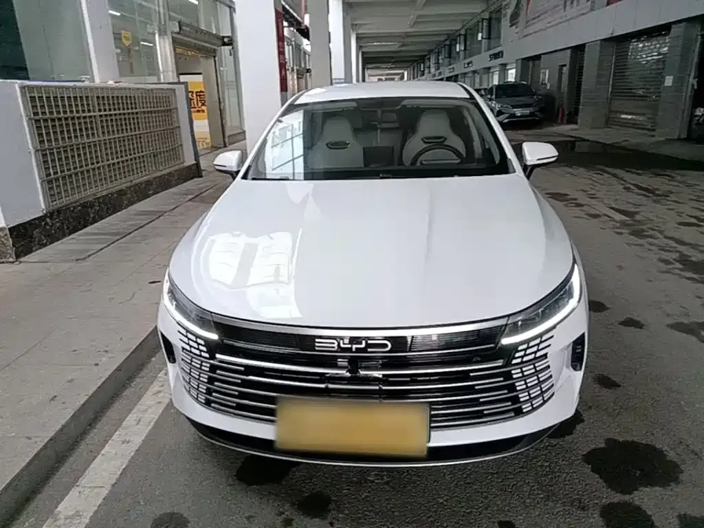 BYD Destroyer 05 2025 из CN, фото 5