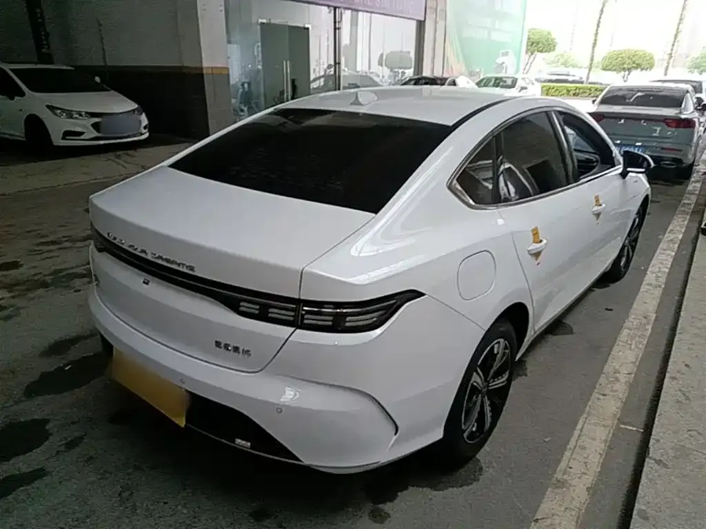 BYD Destroyer 05 2025 из CN, фото 8