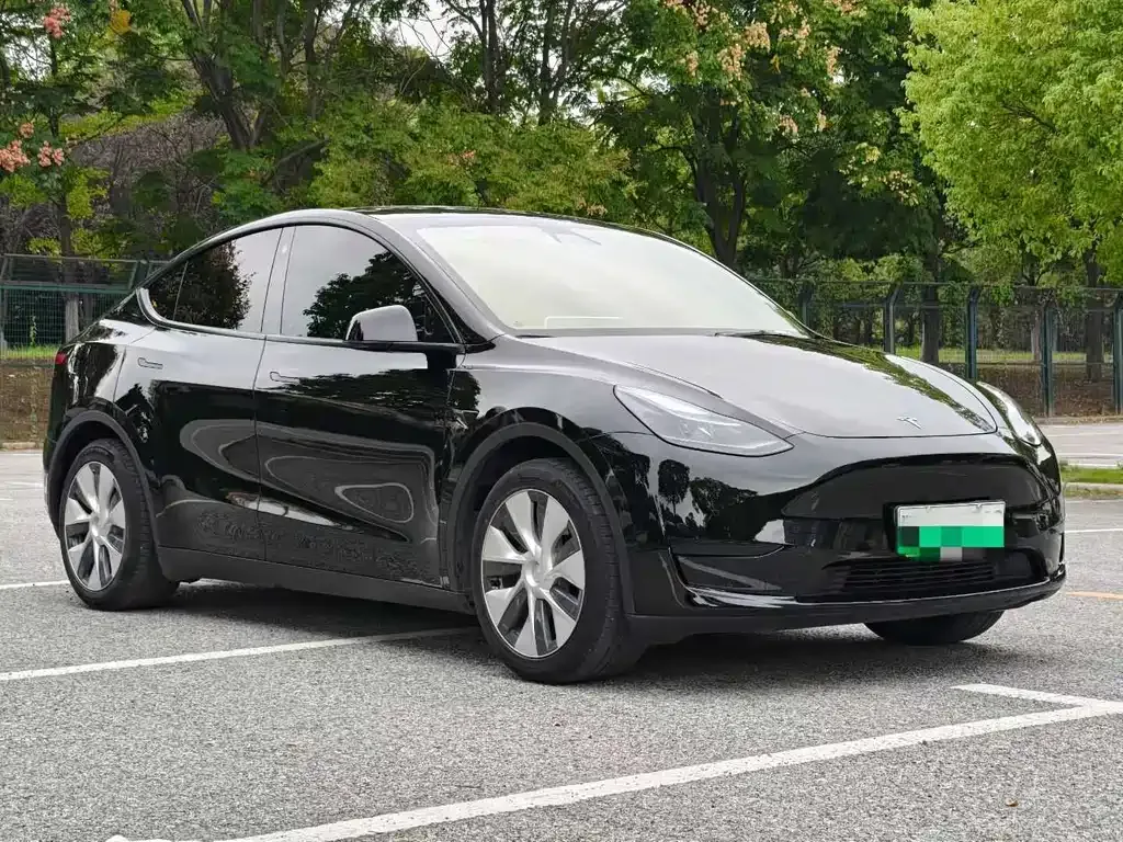 Tesla Model Y — фото 9