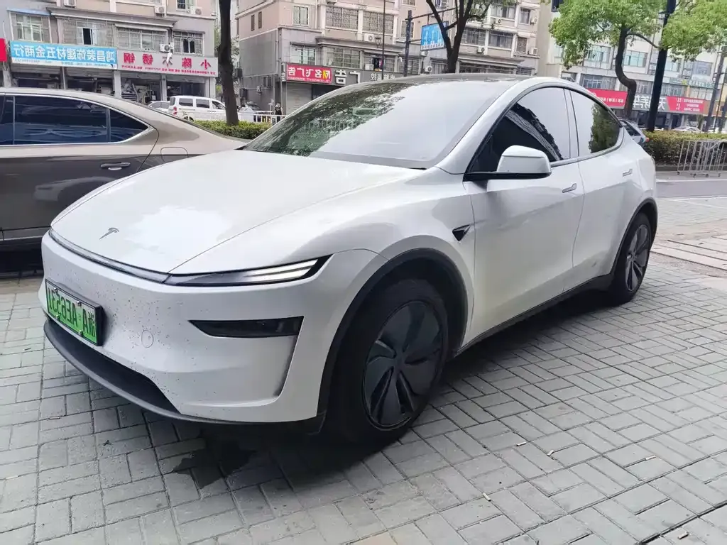 Tesla Model Y — фото 1