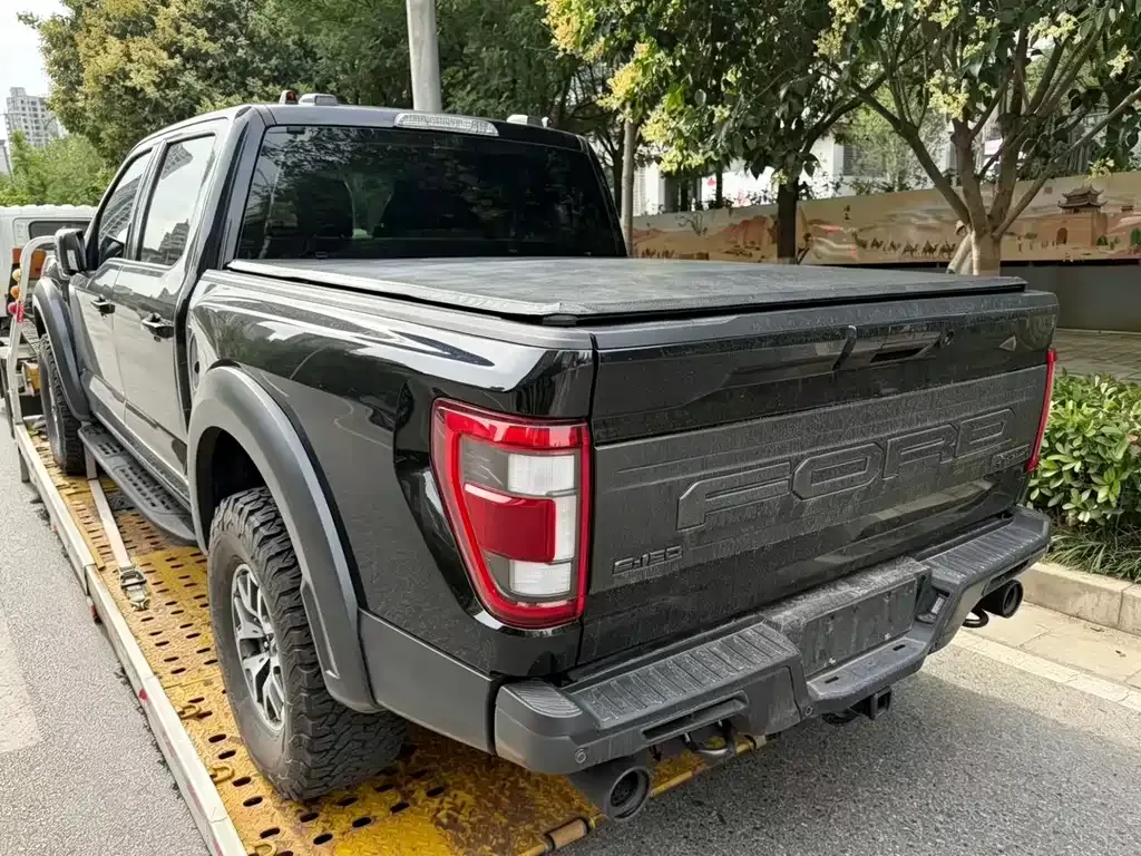 Ford F-150 Raptor 2023 из CN, фото 7