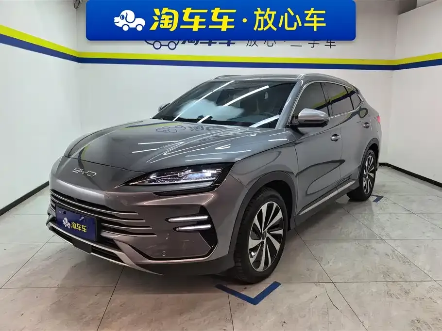 BYD PLUS New Energy — фото 1