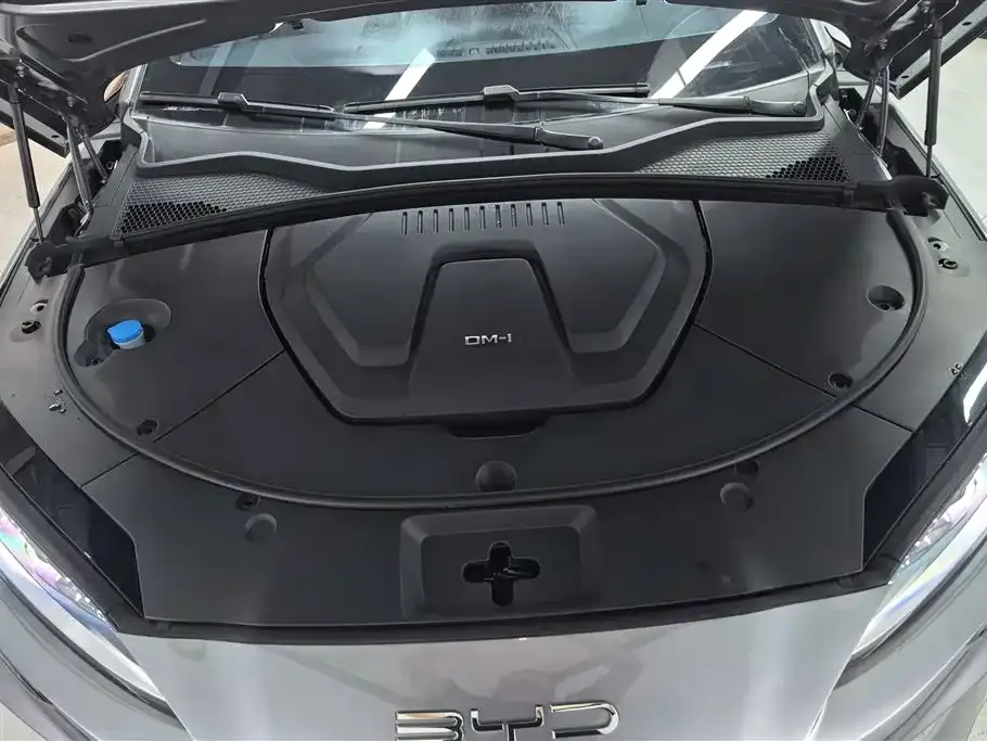 BYD PLUS New Energy — фото 8