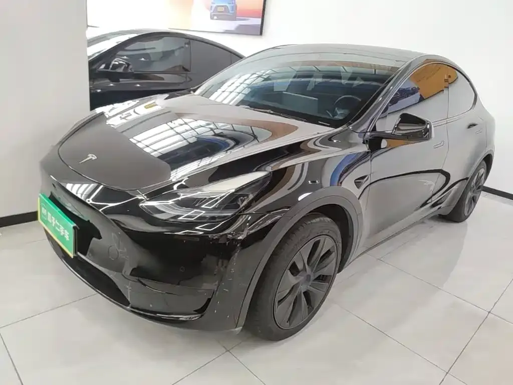 Tesla Model Y — фото 8