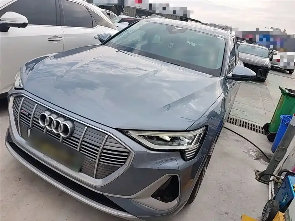 Audi e-tron 2021 из CN, фото 4