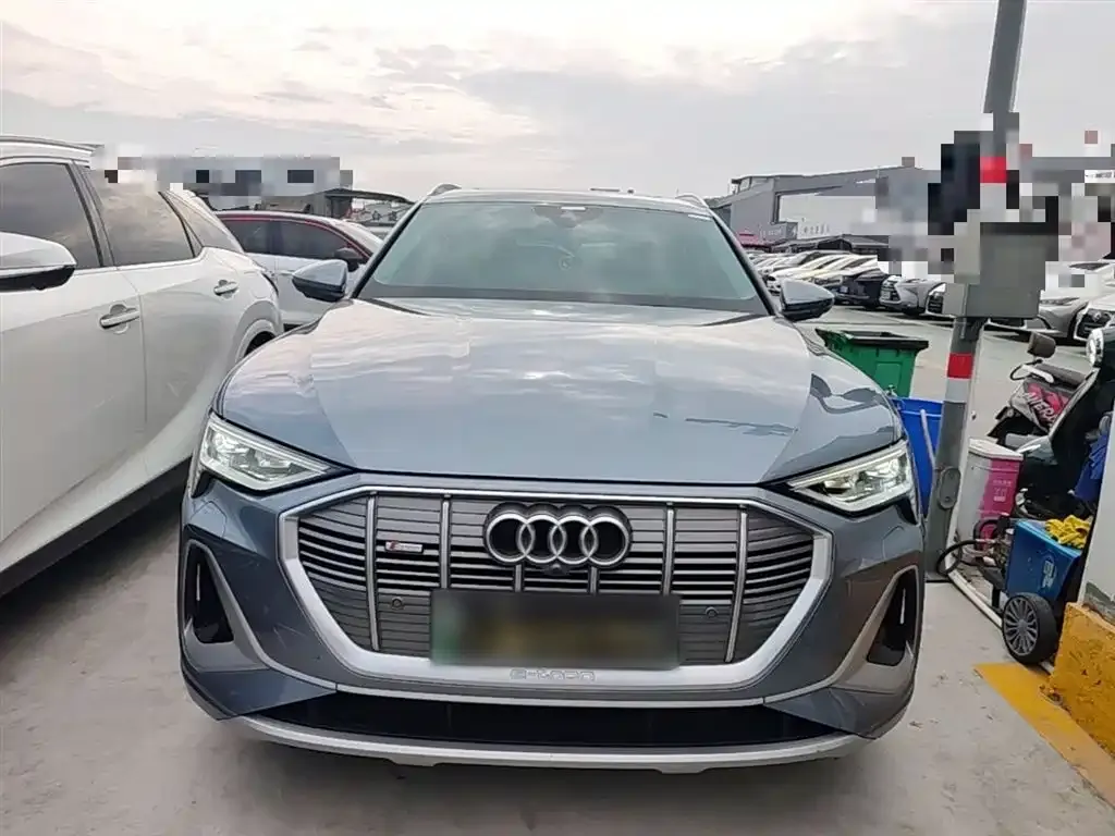 Audi e-tron 2021 из CN, фото 6