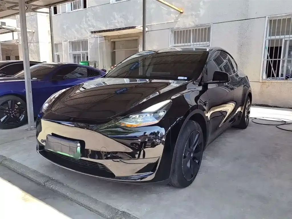 Tesla Model Y — фото 2