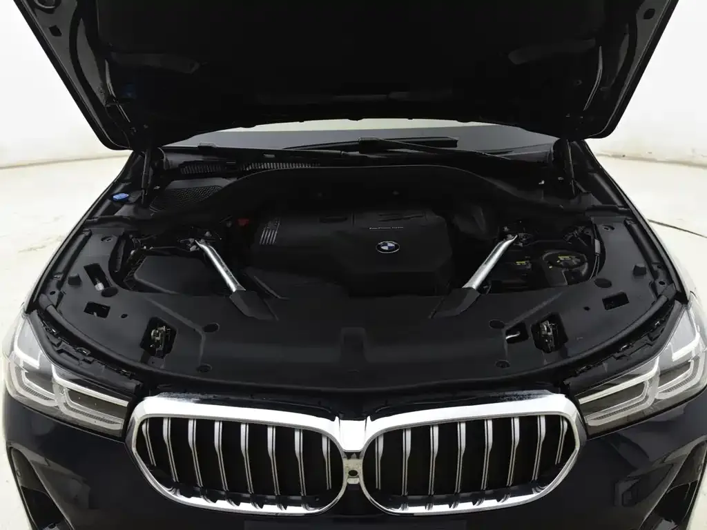 BMW 6 Series GT 2022 из CN, фото 6