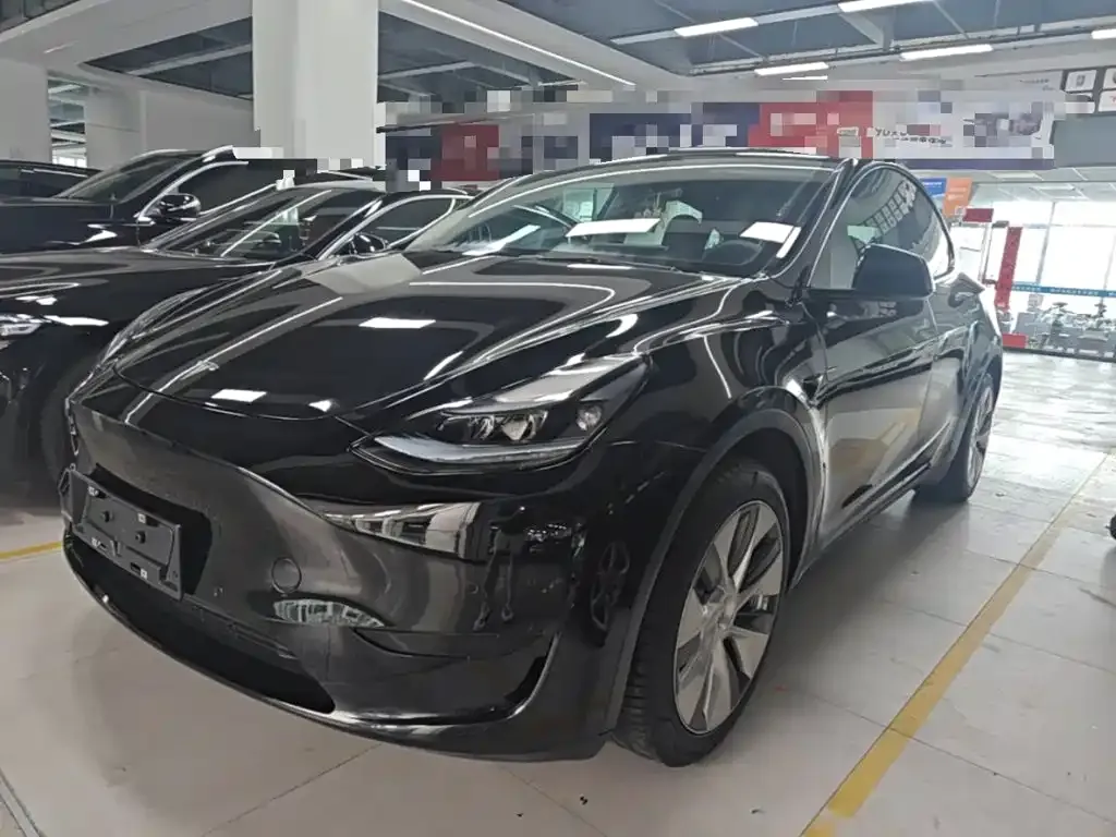 Tesla Model Y — фото 9