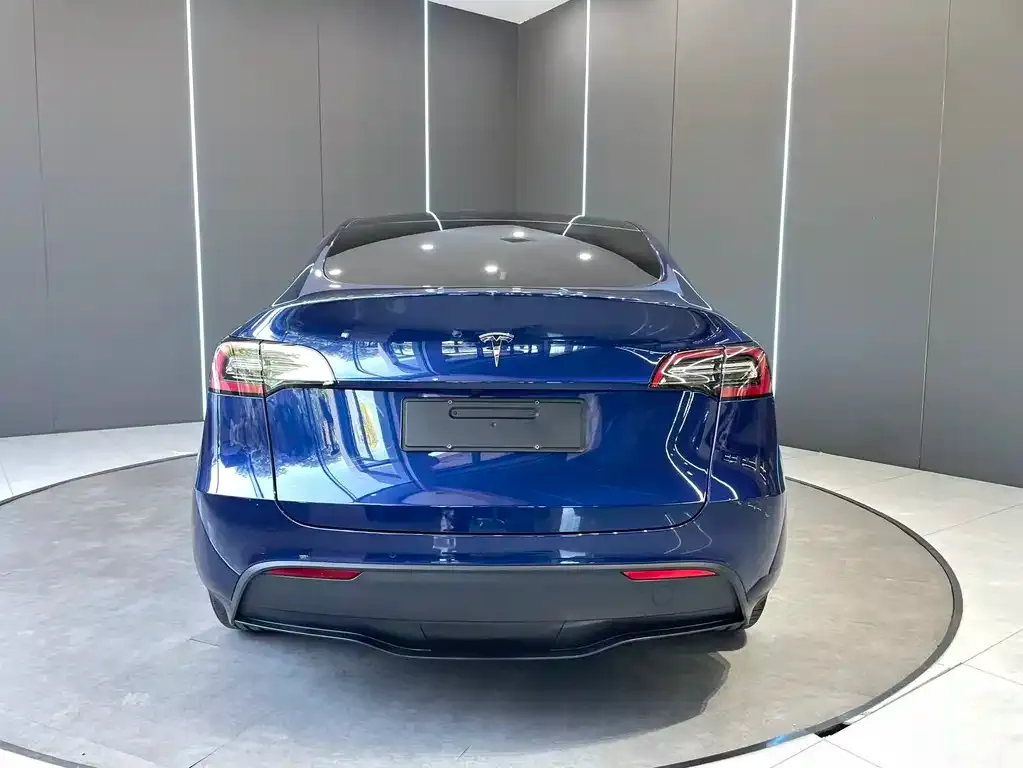Tesla Model Y — фото 9