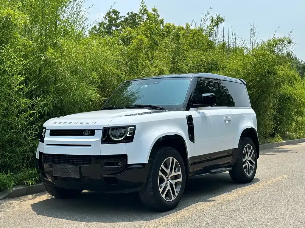Land Rover Defender — фото 1
