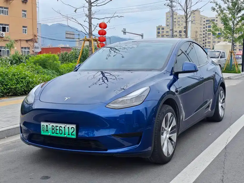 Tesla Model Y — фото 1
