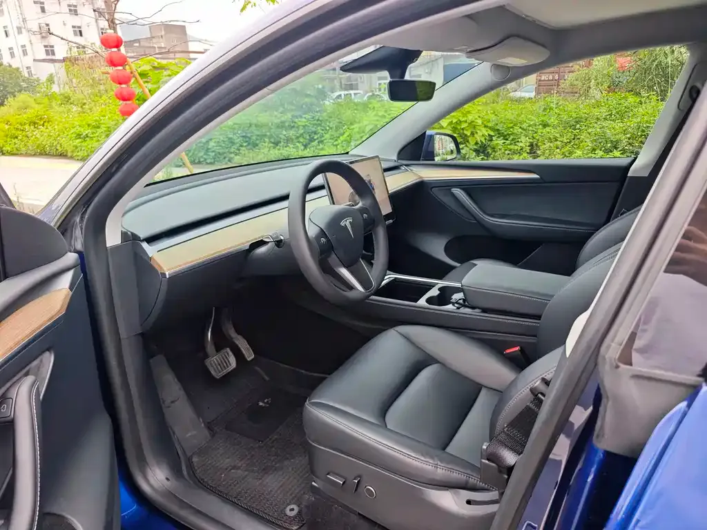 Tesla Model Y — фото 10