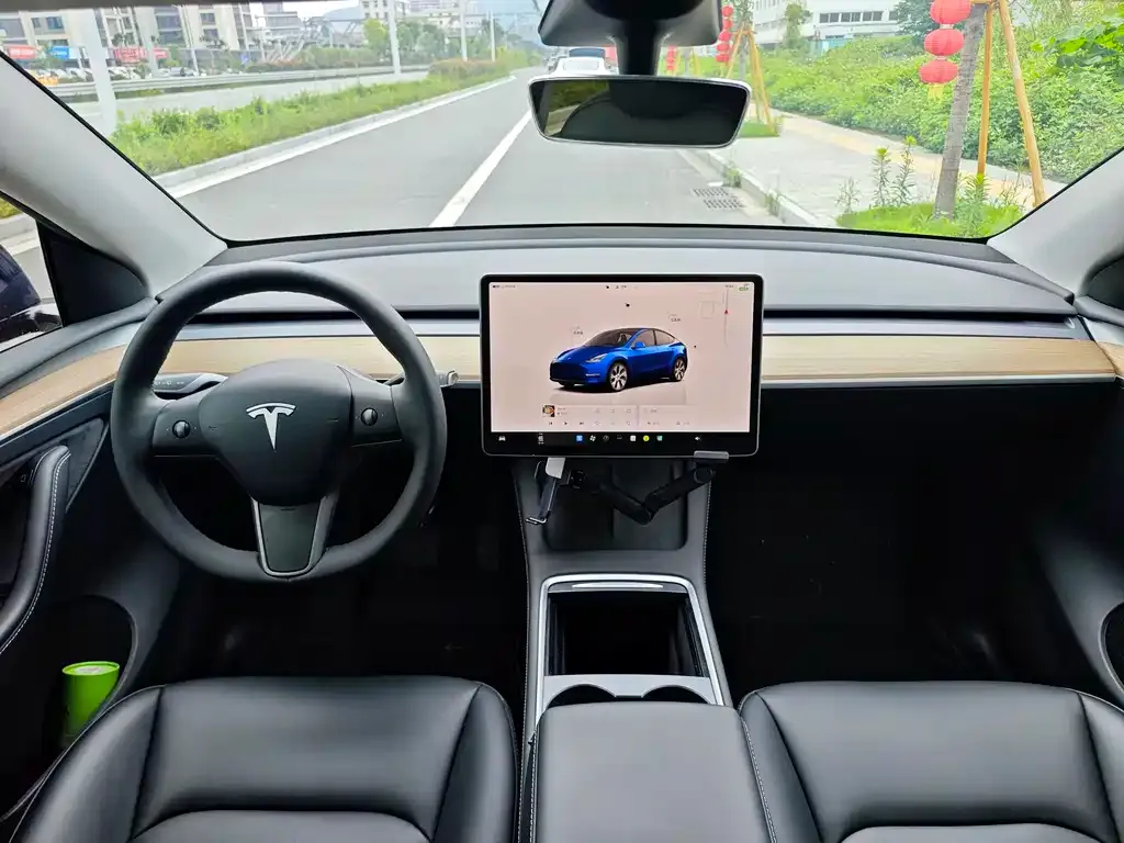 Tesla Model Y — фото 9