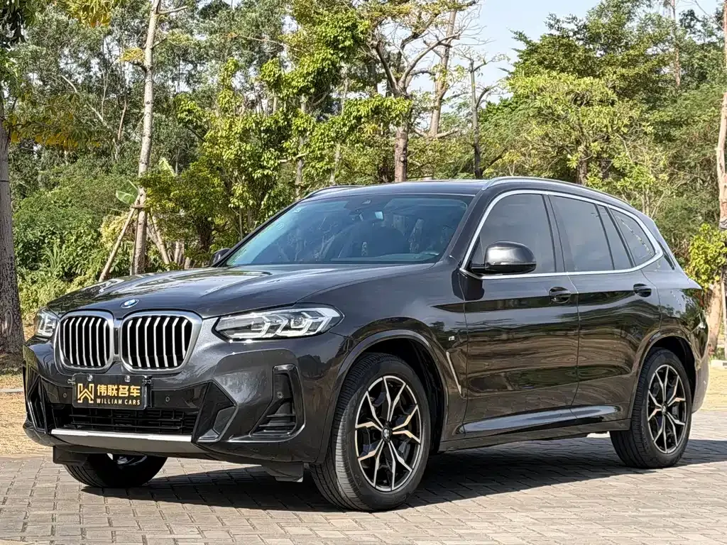 BMW X3 — фото 1