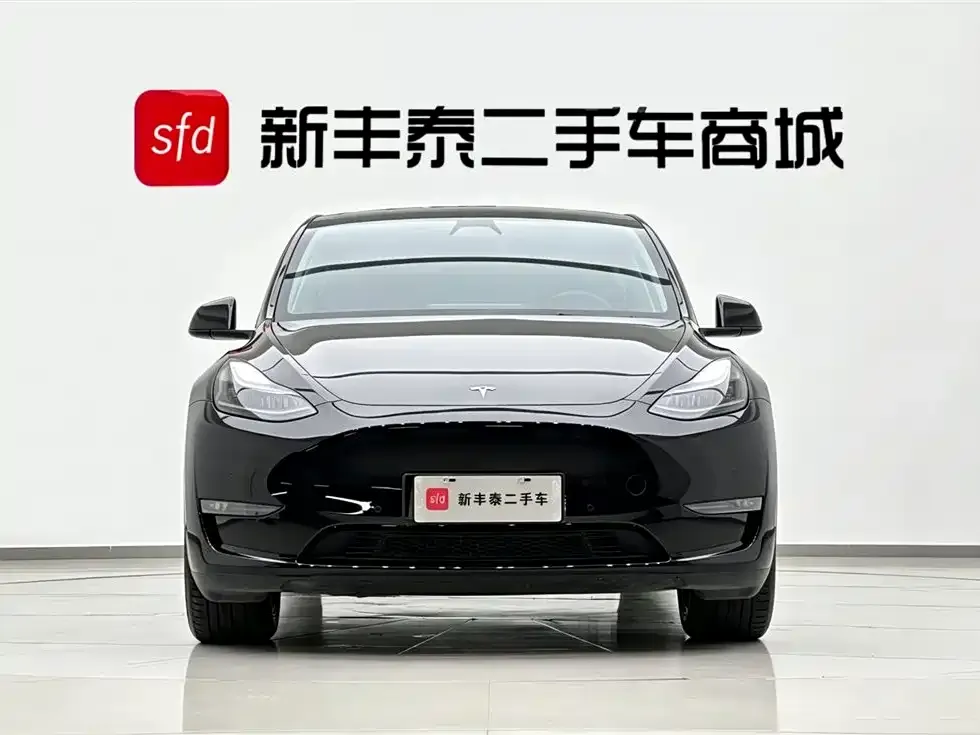 Tesla Model Y — фото 3