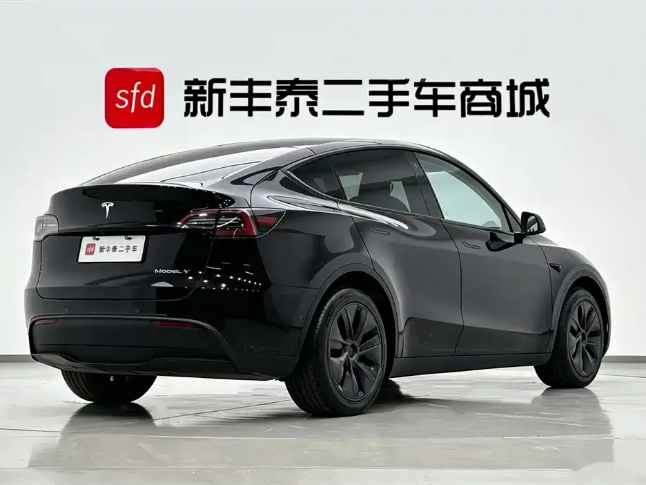 Tesla Model Y — фото 6