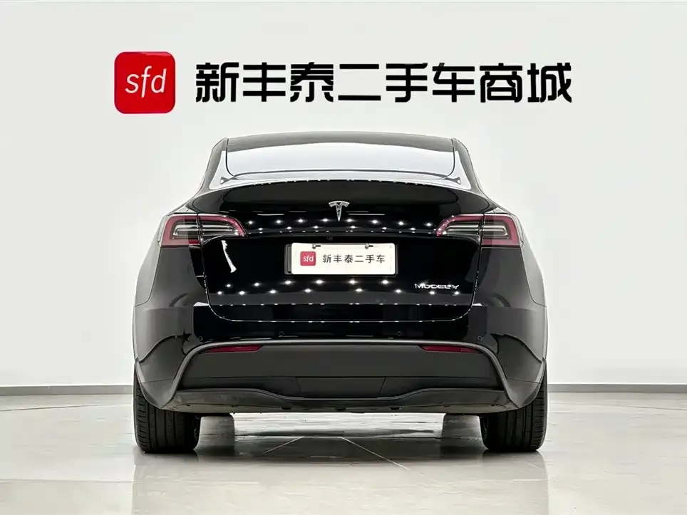 Tesla Model Y — фото 8