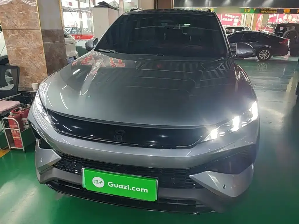 BYD Pro New Energy — фото 2