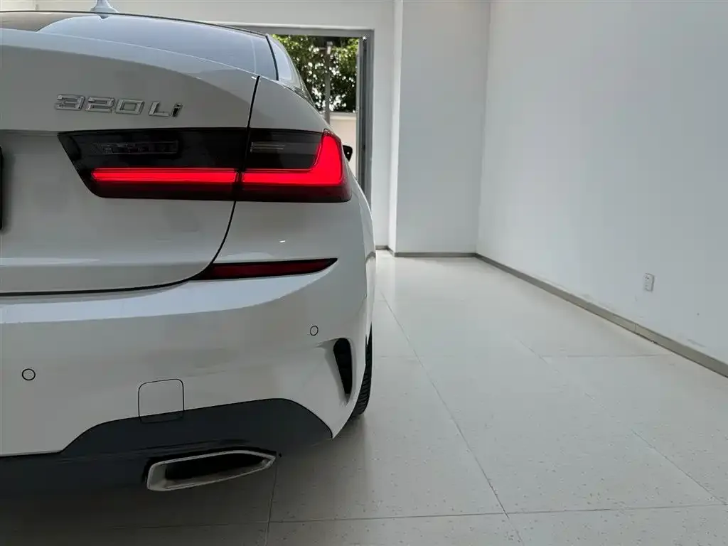 BMW 3 Series 2021 из CN, фото 7