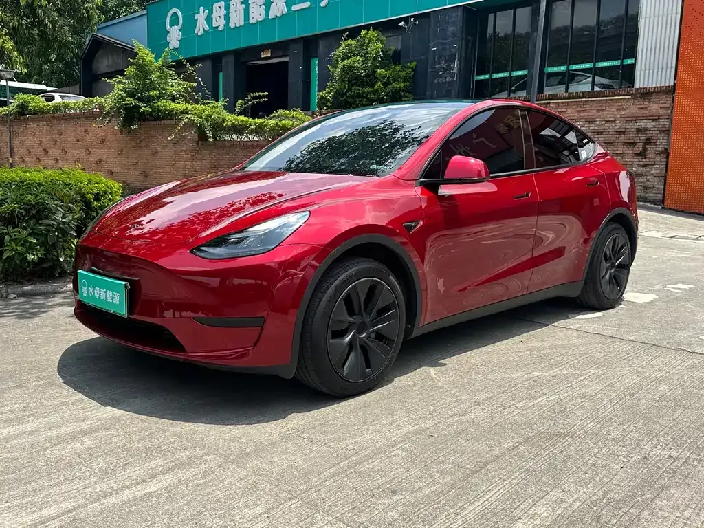 Tesla Model Y — фото 1