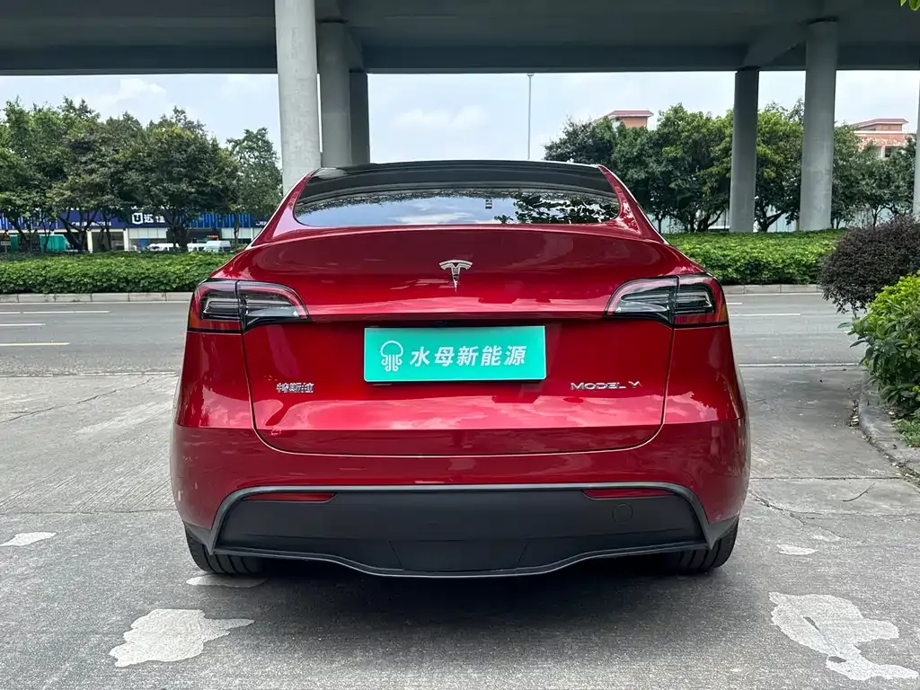 Tesla Model Y — фото 9