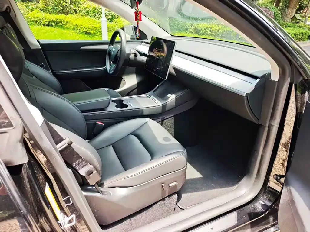 Tesla Model Y — фото 6