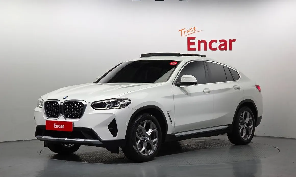 BMW X4 xDrive20d xLine 1