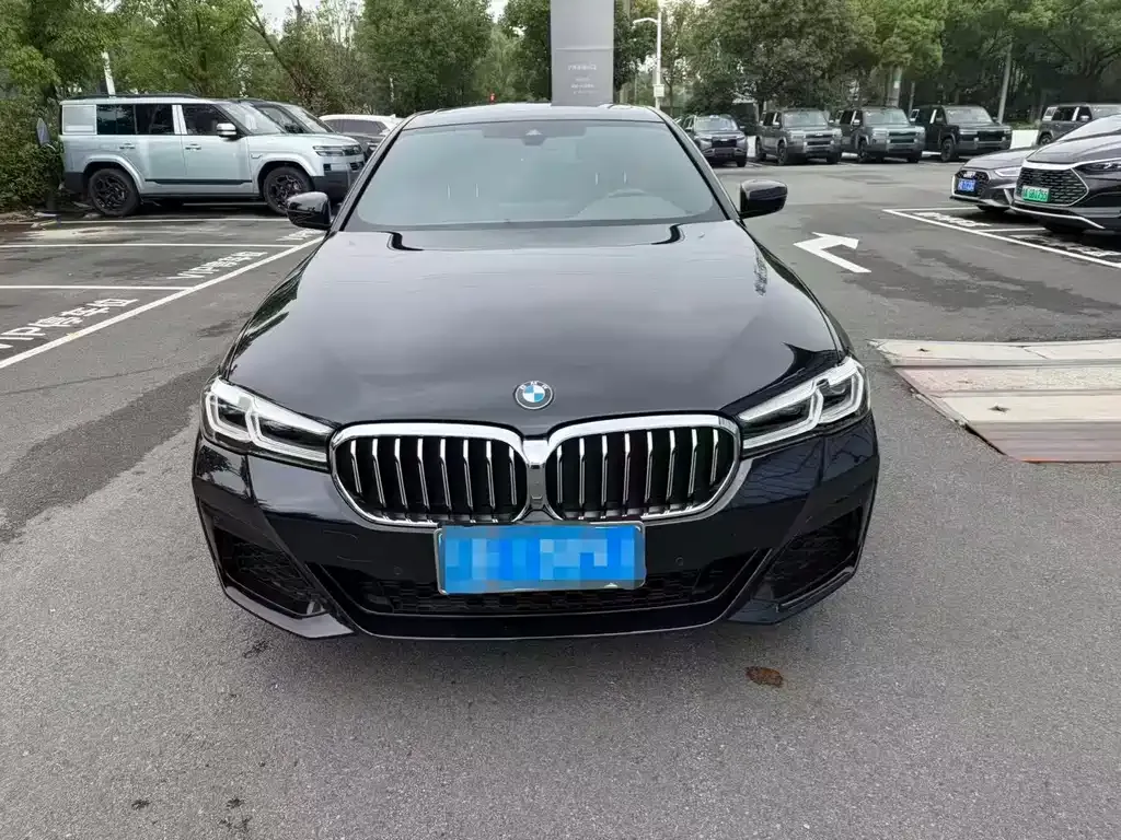 BMW 5 Series 2023 из CN, фото 6