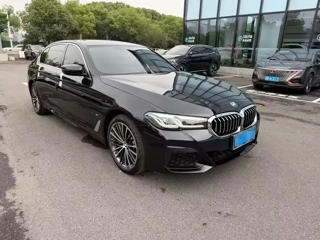 BMW 5 Series 2023 из CN, фото 10
