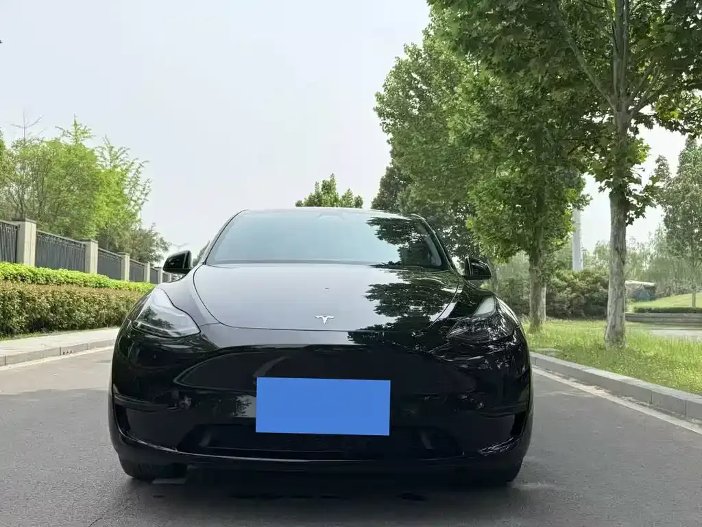 Tesla Model Y — фото 2
