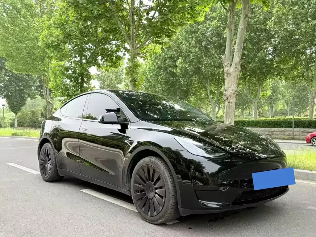 Tesla Model Y — фото 8