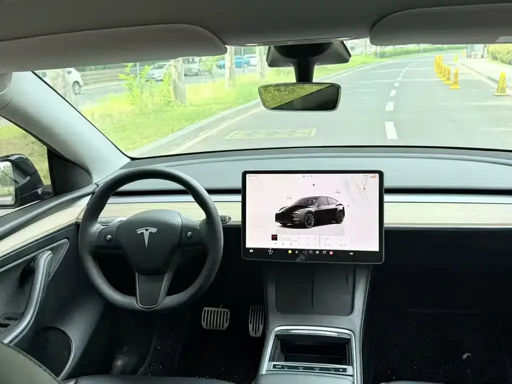 Tesla Model Y — фото 3