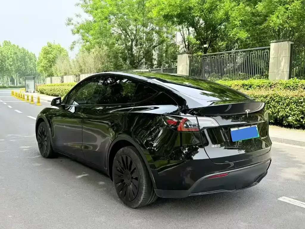 Tesla Model Y — фото 9