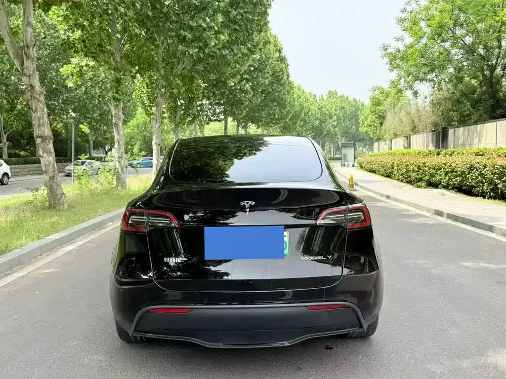Tesla Model Y — фото 7