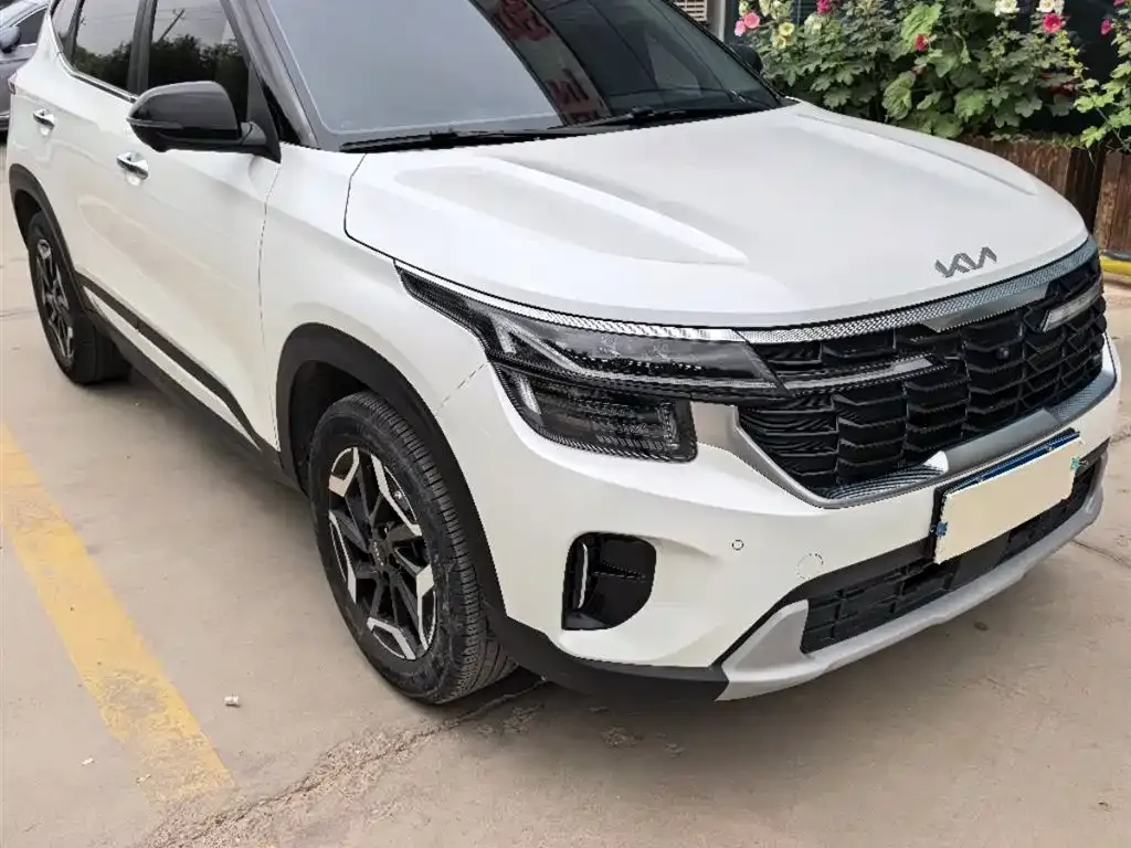 Kia Seltos 2023 из CN, фото 6