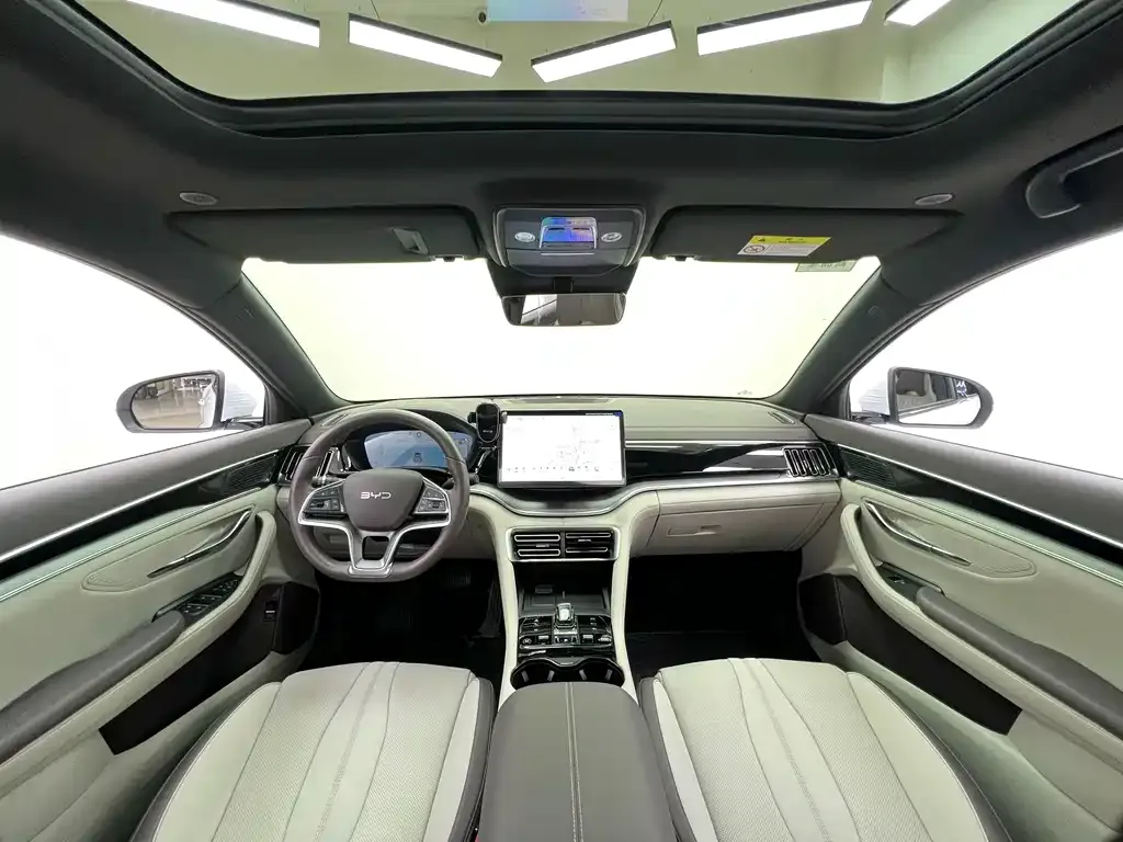 BYD PLUS New Energy 2024 из CN, фото 3