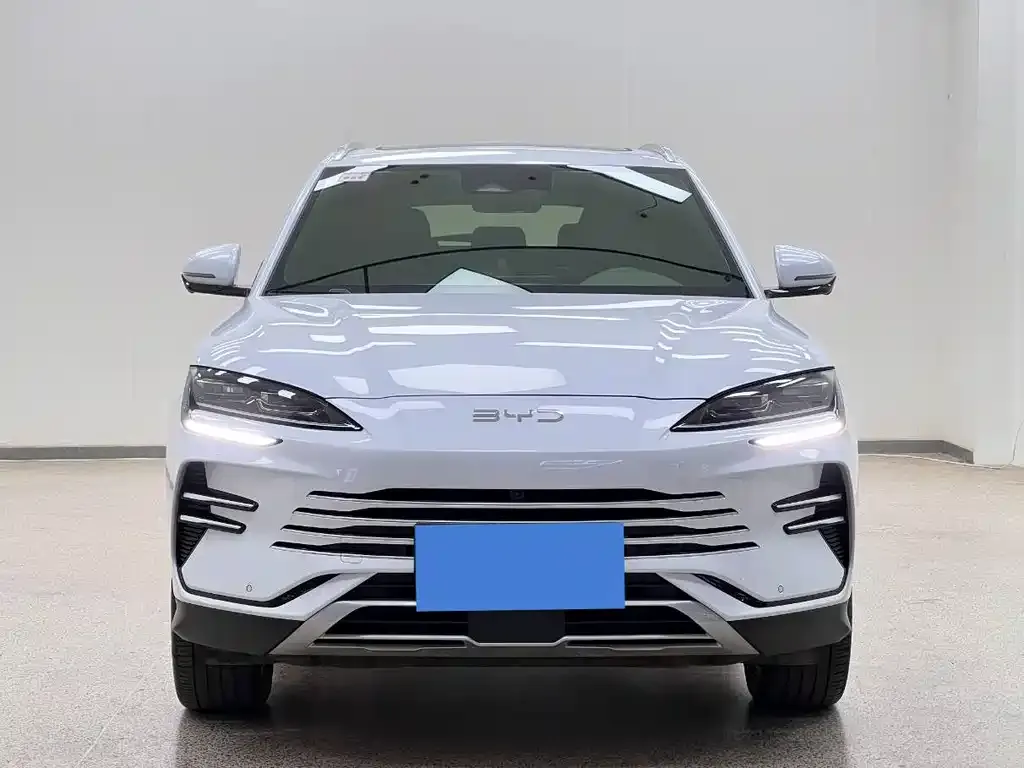 BYD PLUS New Energy 2024 из CN, фото 2