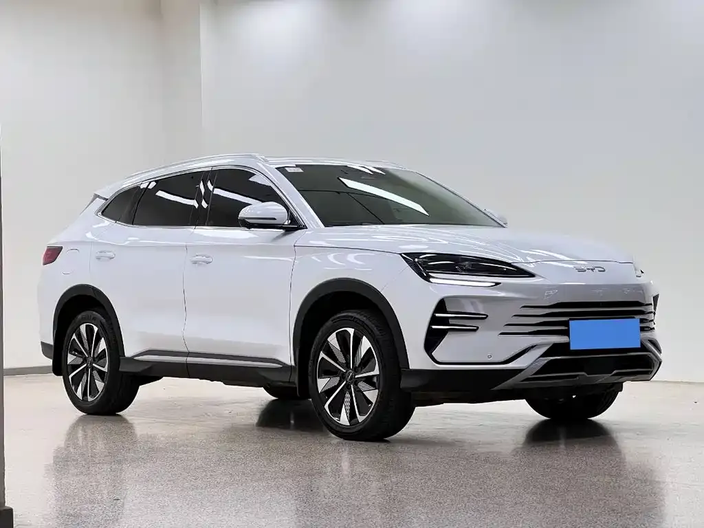 BYD PLUS New Energy 2024 из CN, фото 6