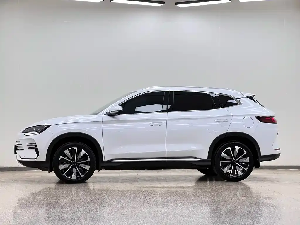 BYD PLUS New Energy 2024 из CN, фото 4
