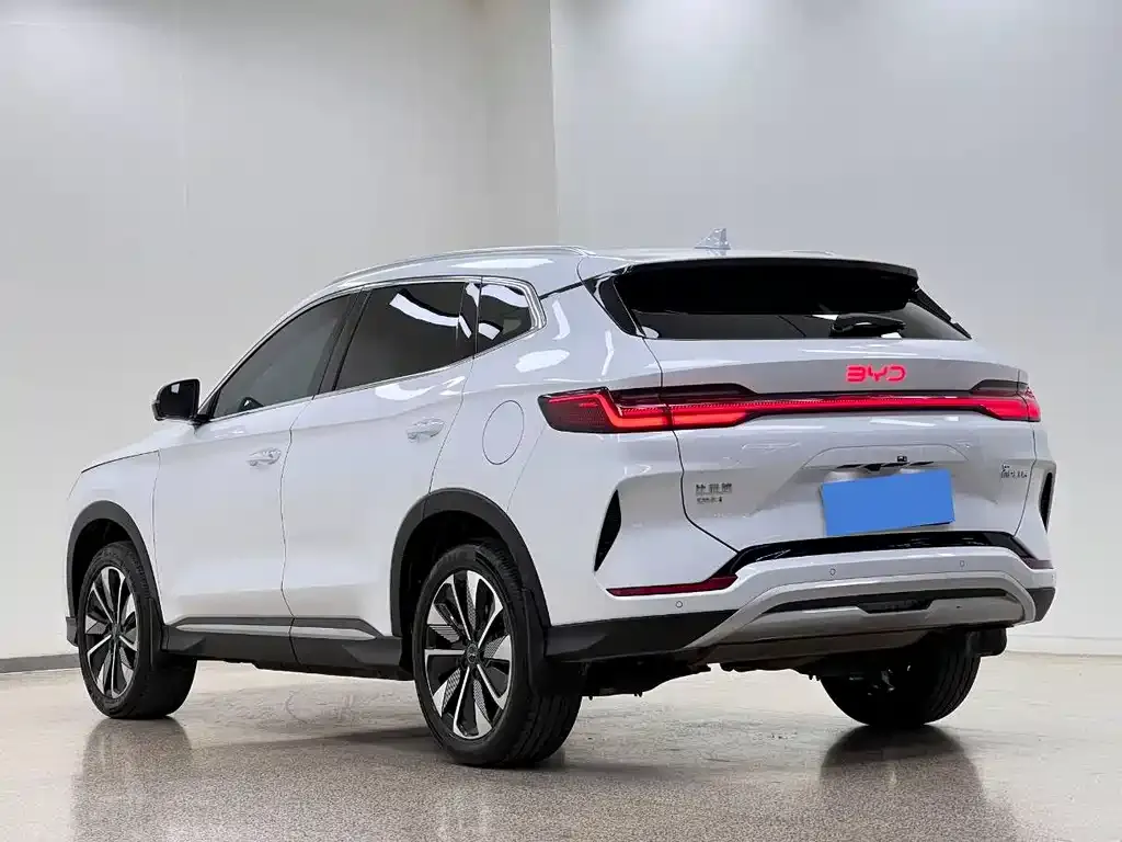 BYD PLUS New Energy 2024 из CN, фото 7
