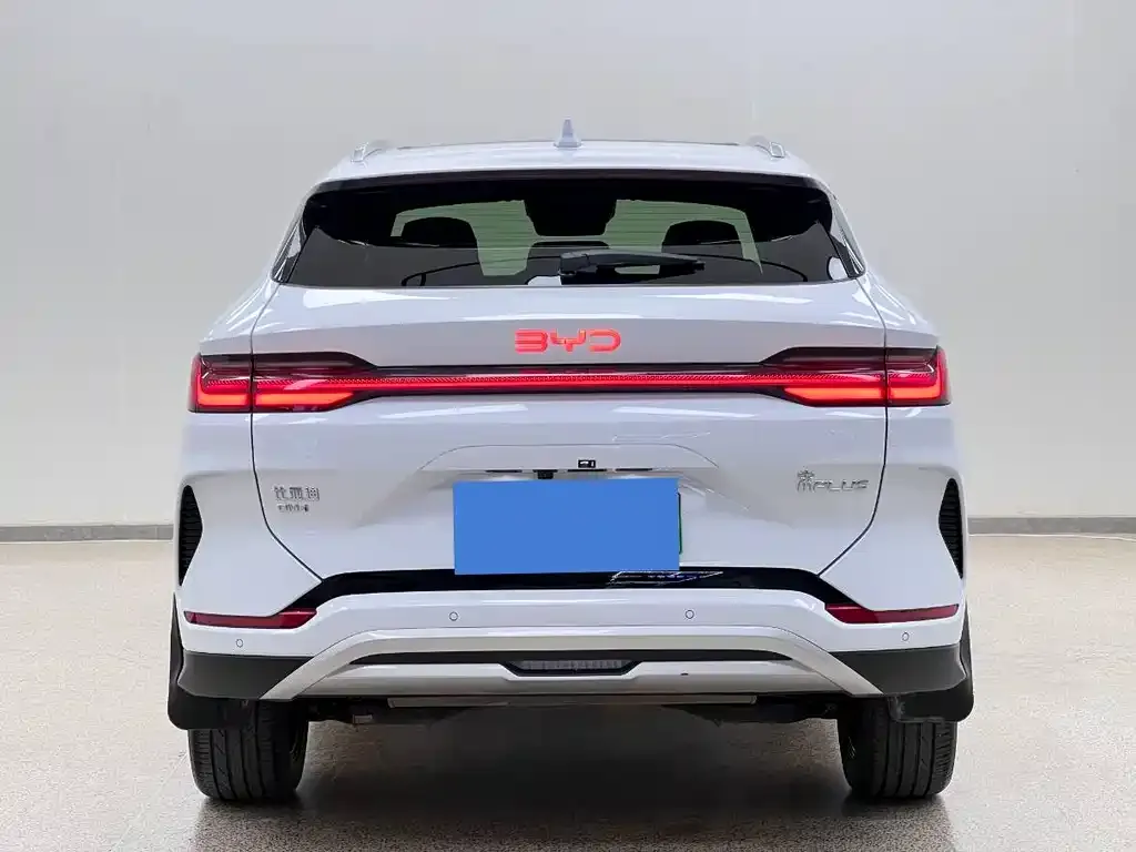 BYD PLUS New Energy 2024 из CN, фото 10