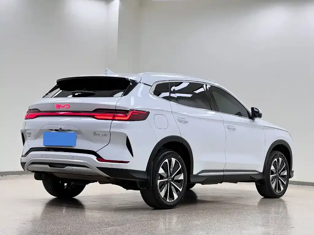 BYD PLUS New Energy 2024 из CN, фото 5