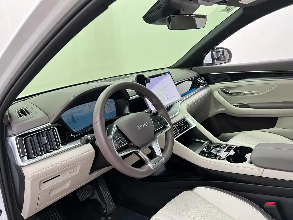 BYD PLUS New Energy 2024 из CN, фото 9