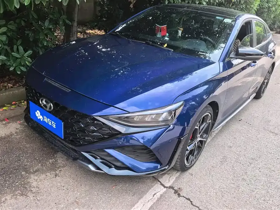 Hyundai Fista — фото 1