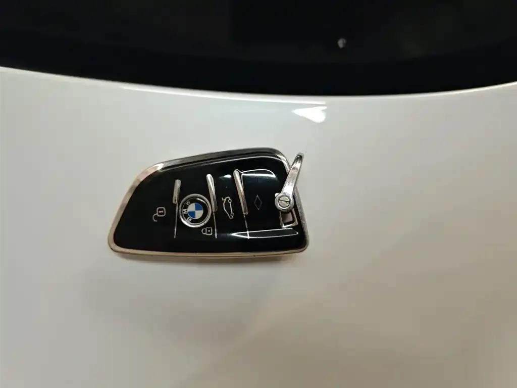 BMW 3 Series 2021 из CN, фото 3